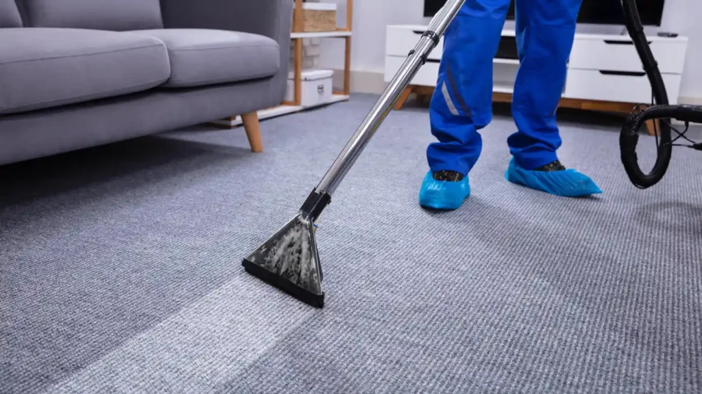 santa barbara green clean provides carpet and upholstery cleaning service